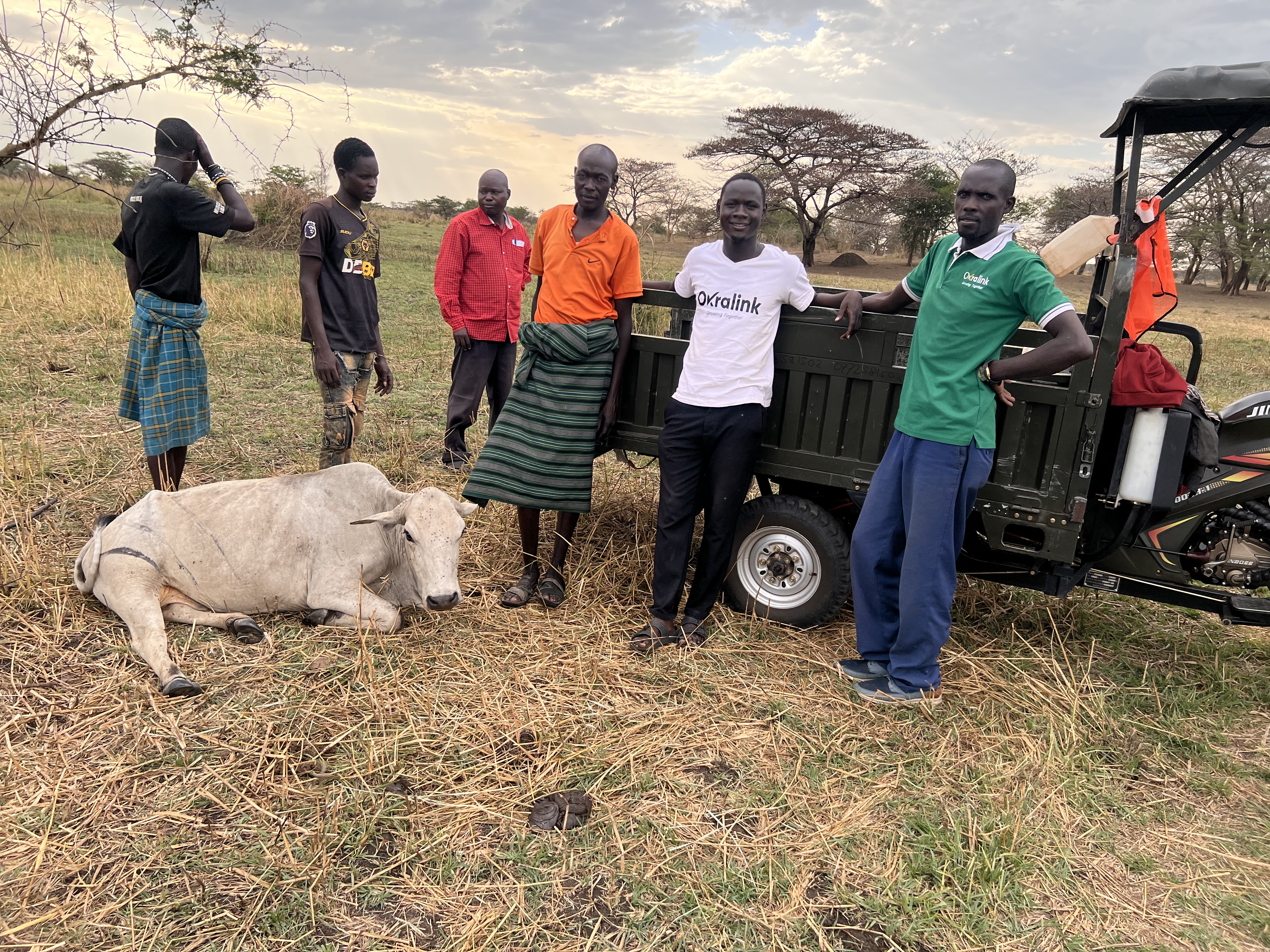 Morning farm activities